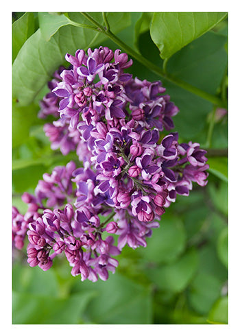 Inside Message: Our hearts go out to you and your family