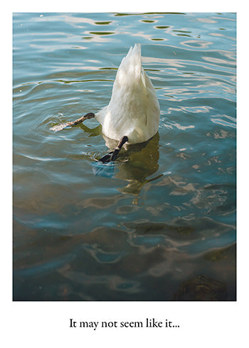 Duck Butt | Cute Encouragement Card