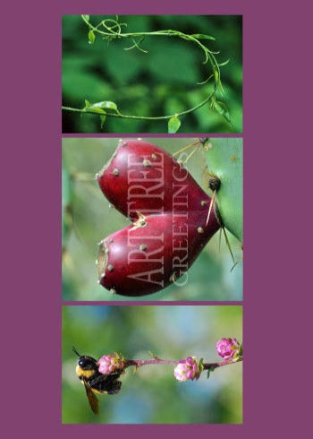 I Heart You | Photo Love Greeting Card