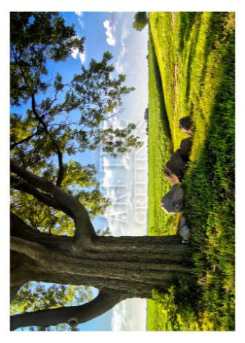 Peaceful Scenery | Sympathy Card