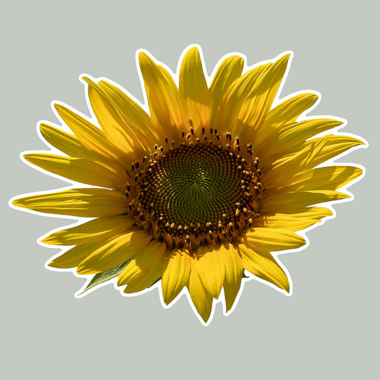 Sunflower Sticker | 4 Pack