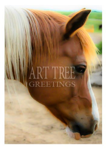 Horse Face Profile | Photo Greeting Card Blank 