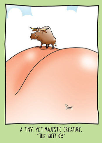 Butt Ox | Funny Birthday Card