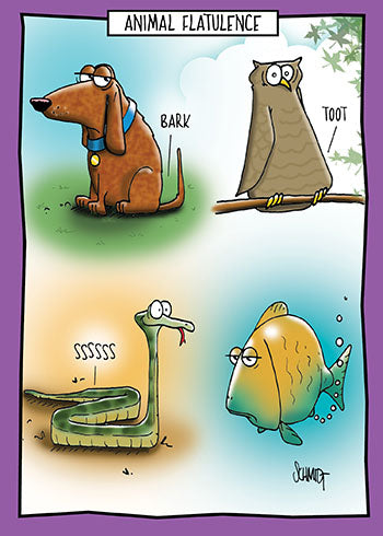 Animal Flatulence | Funny Birthday Card