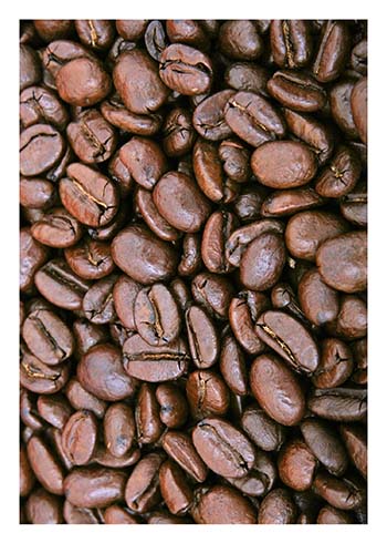 Coffee Beans Blank Greeting Card