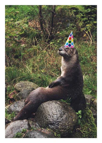 Otter in Party Hat | Birthday Card