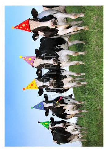 Cows in Party Hats | Funny Birthday Card