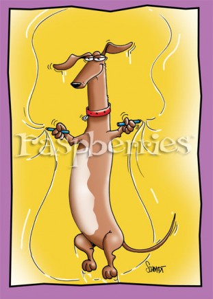 Wiener Dog: Funny Paper Birthday Card